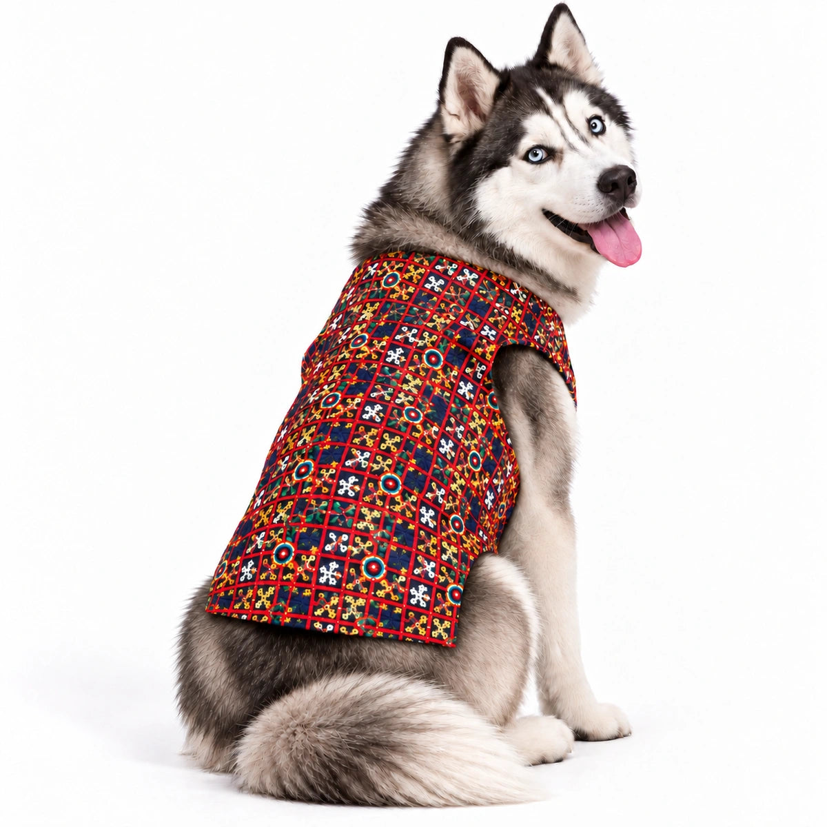 Thunder Tails Dandiya Days Black Mirror Work Dog Sherwani