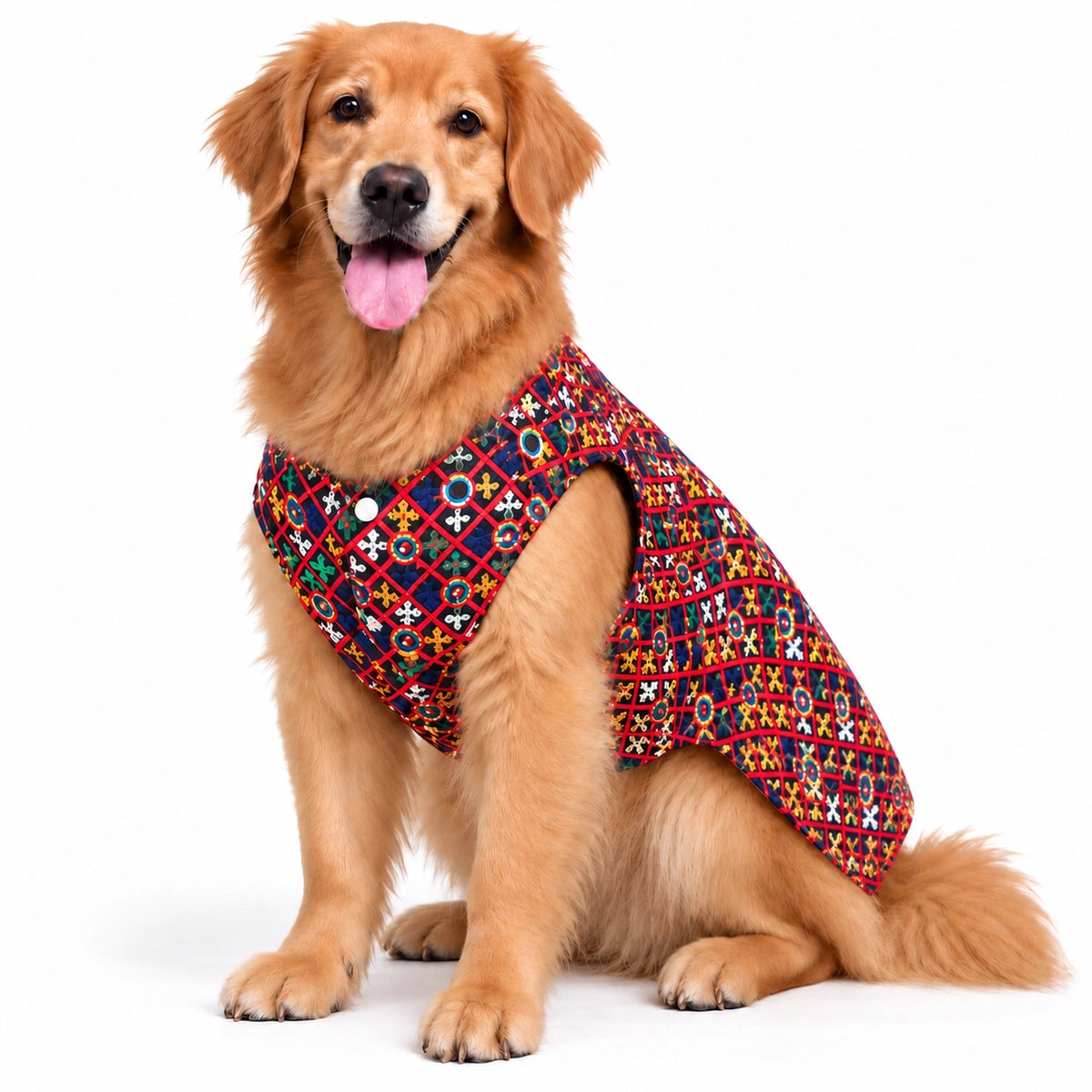 Thunder Tails Dandiya Days Black Mirror Work Dog Sherwani
