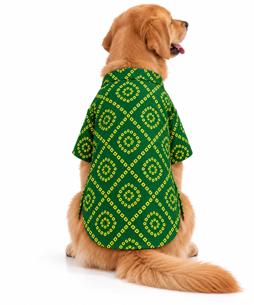 Thunder Tails Green Bandhani Festive Dog Kurta