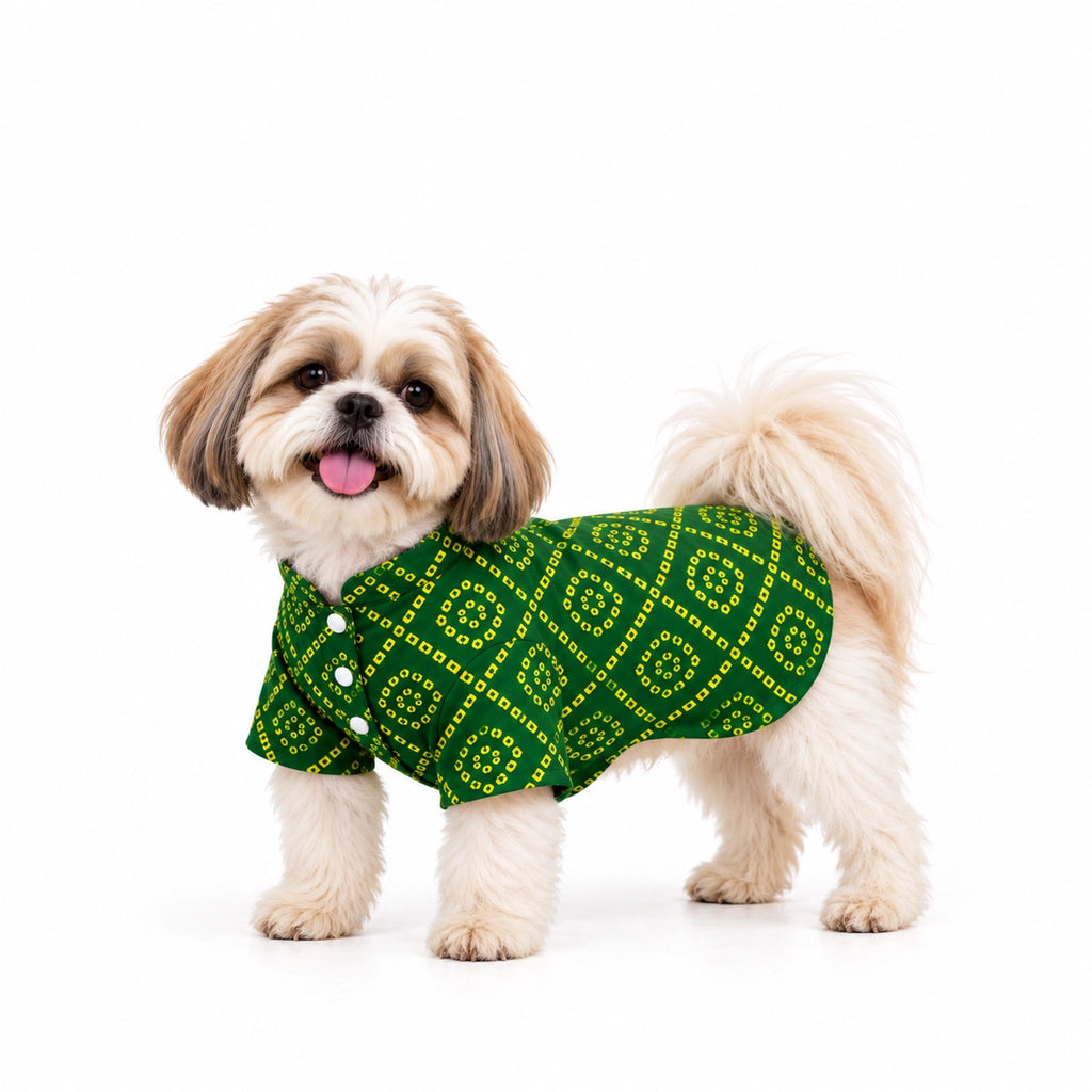 Thunder Tails Green Bandhani Festive Dog Kurta