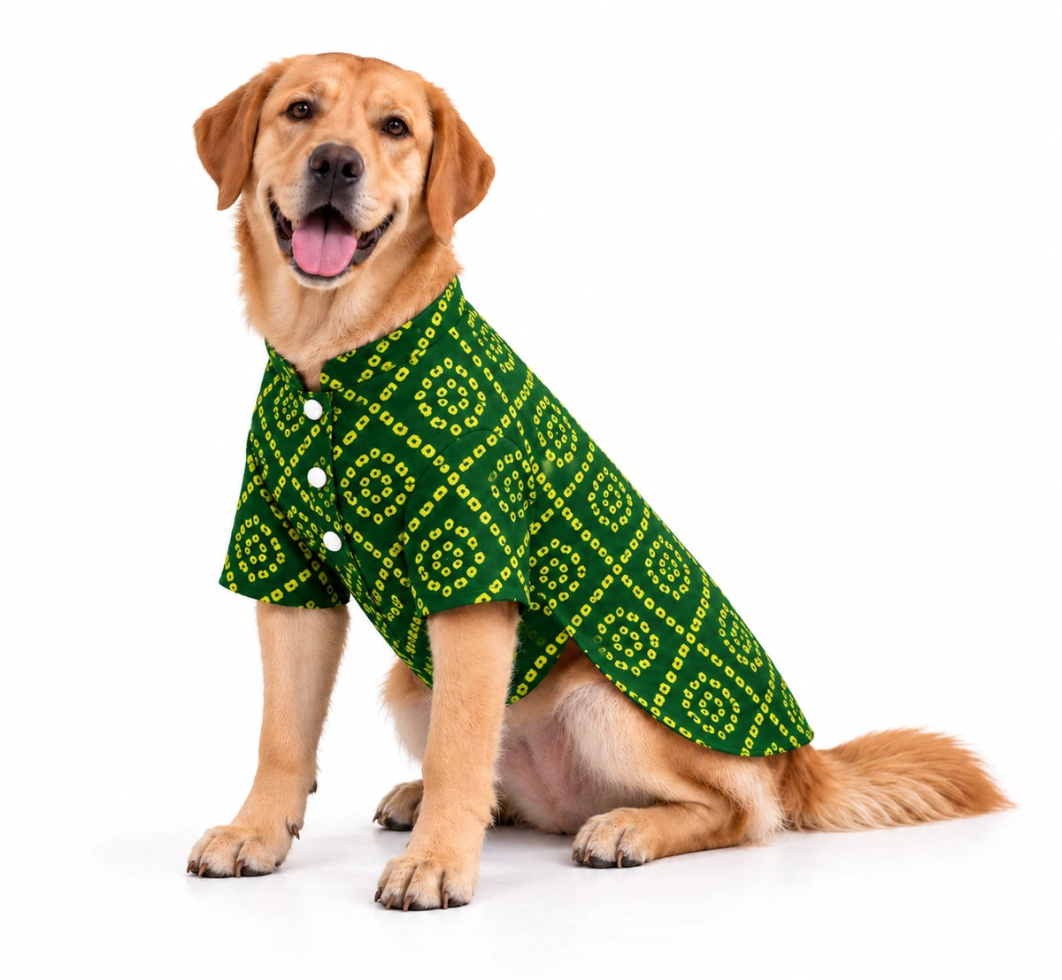 Thunder Tails Green Bandhani Festive Dog Kurta