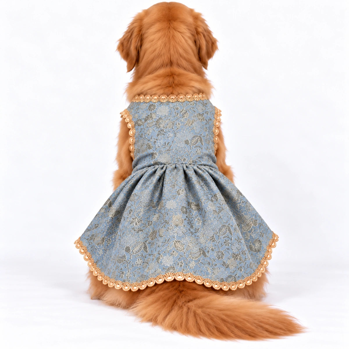 Thunder Tails Rangrez Dog Frock - Baby blue