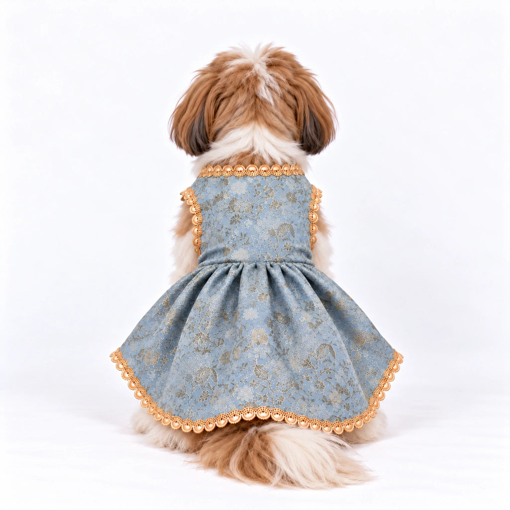Thunder Tails Rangrez Dog Frock - Baby blue