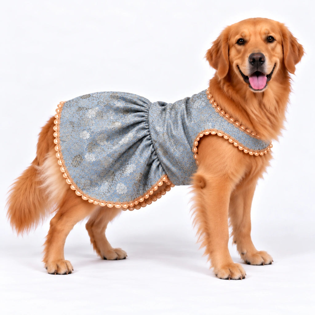 Thunder Tails Rangrez Dog Frock - Baby blue