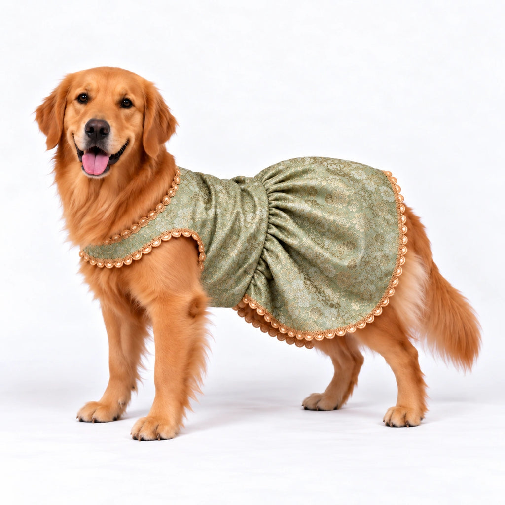 Thunder Tails Rangrez Dog Frock - Sage Green