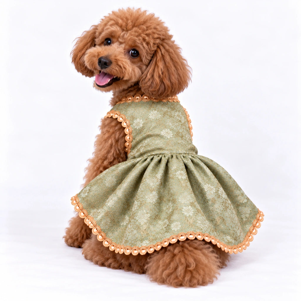 Thunder Tails Rangrez Dog Frock - Sage Green