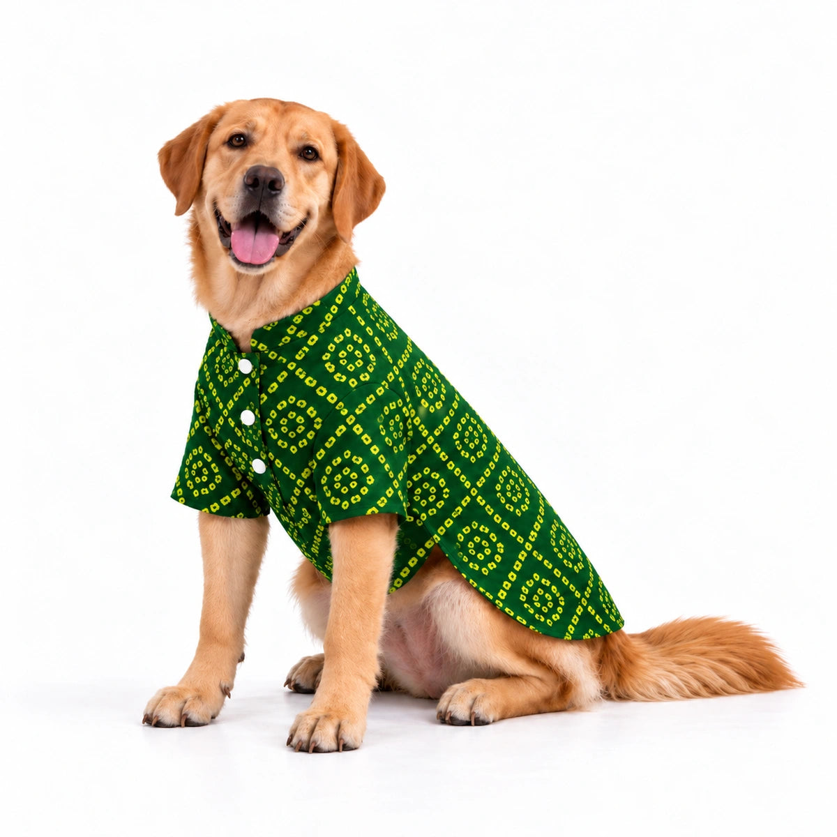 Thunder Tails Green Bandhani Festive Dog Kurta