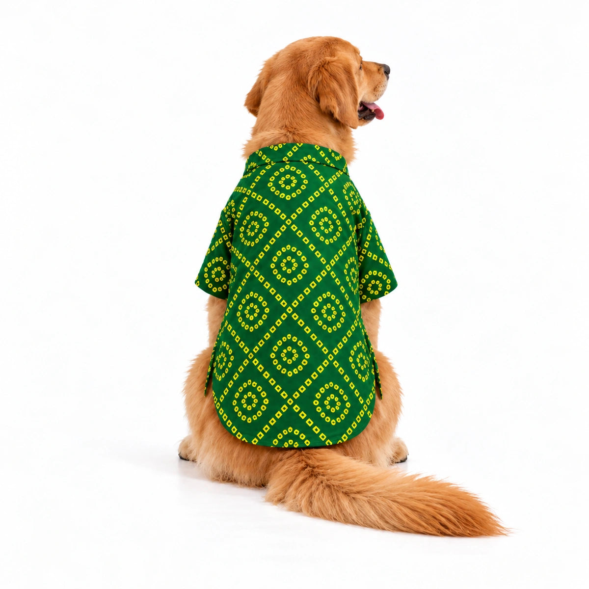 Thunder Tails Green Bandhani Festive Dog Kurta