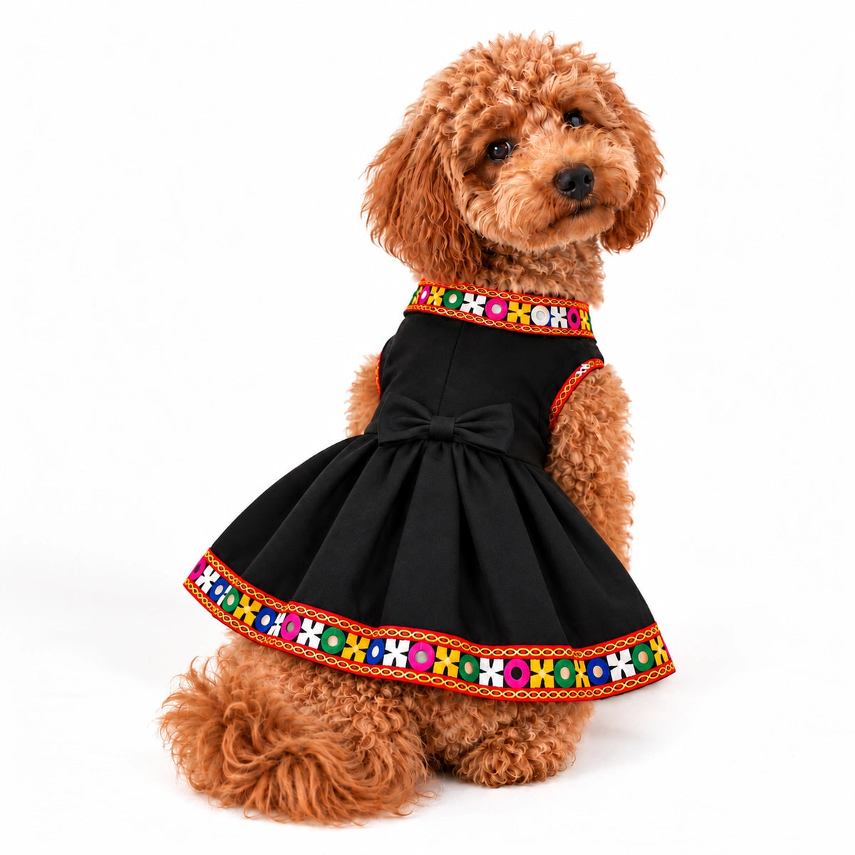 Thunder Tails Rang Rass Black Dog Frock