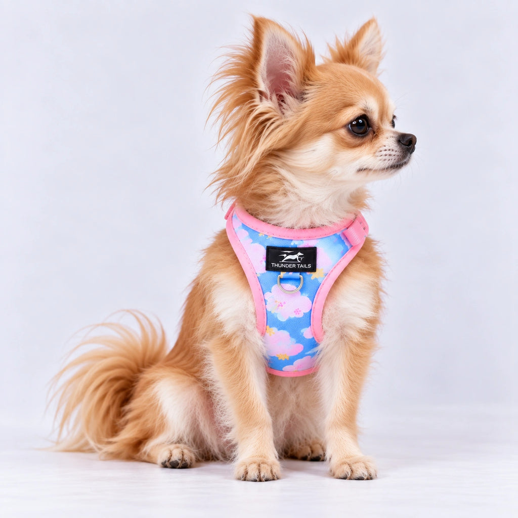 Thunder Tails Dog Step In Harness & Leash Set - Blue Pink