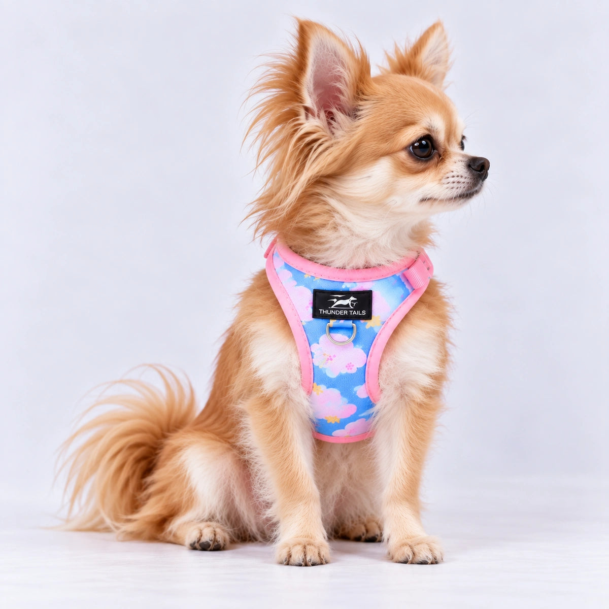 Thunder Tails Dog Step In Harness & Leash Set - Blue Pink