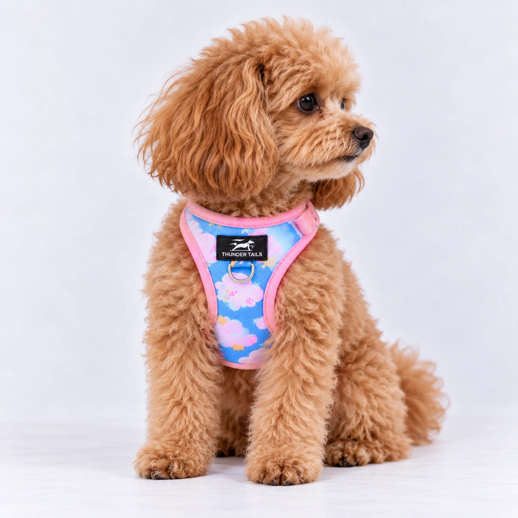 Thunder Tails Dog Step In Harness & Leash Set - Blue Pink