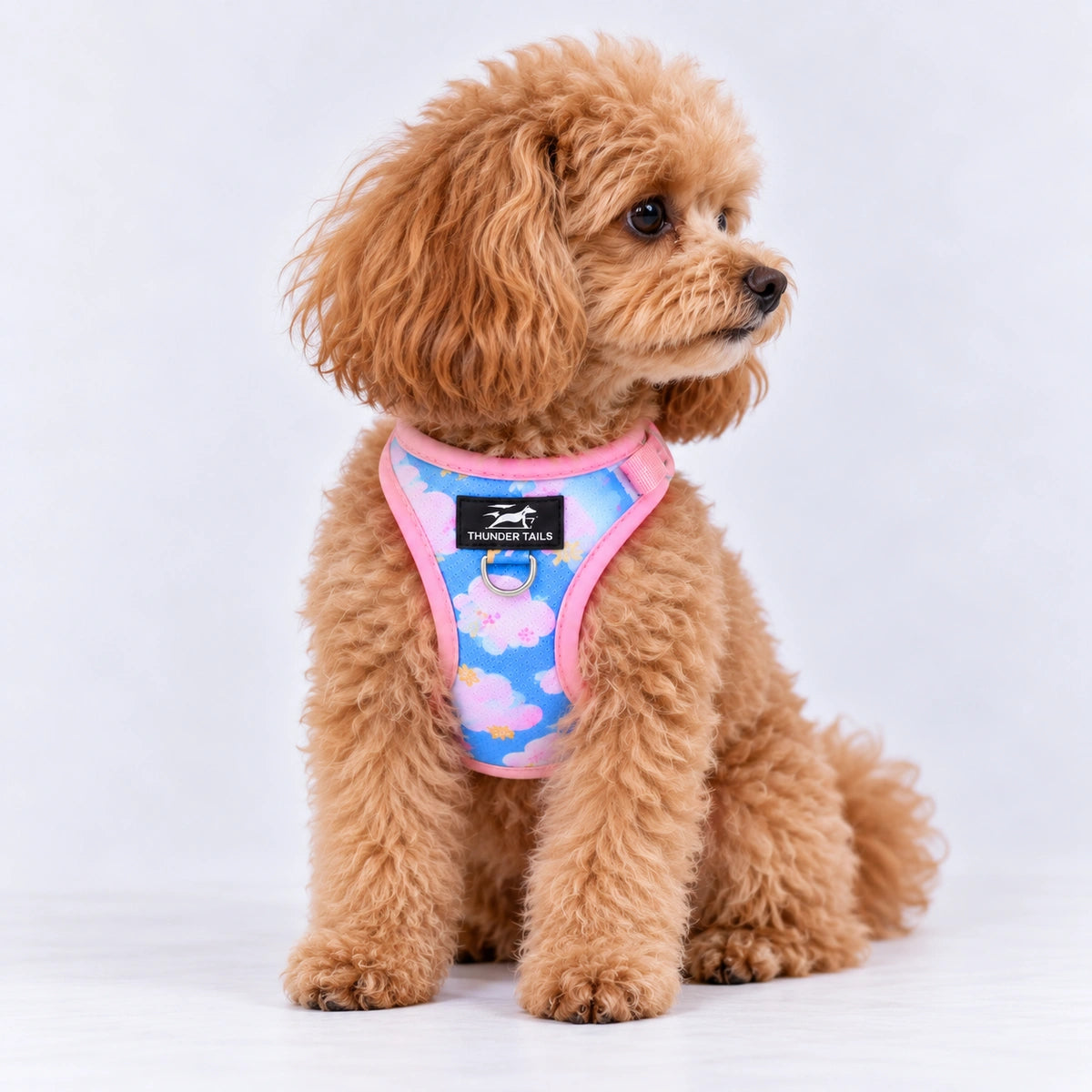 Thunder Tails Dog Step In Harness & Leash Set - Blue Pink
