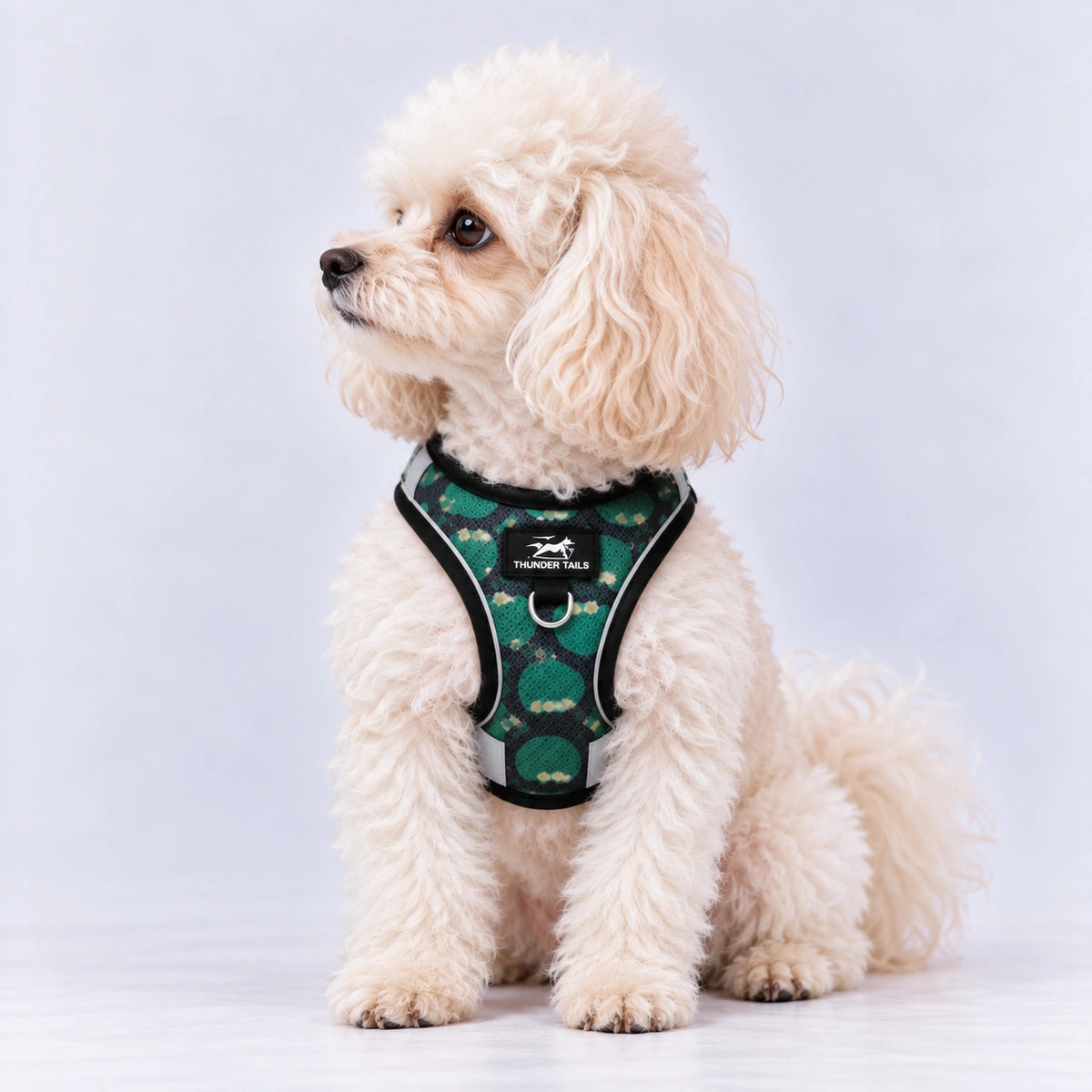 Thunder Tails Dog Step In Harness & Leash Set- Black Green