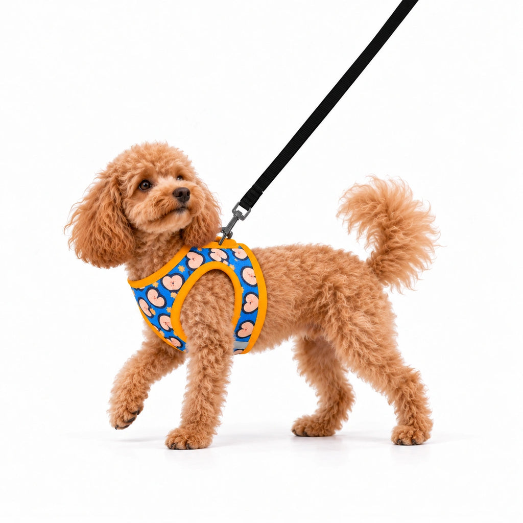 Thunder Tails Dog Step In Harness & Leash Set- Blue Yellow