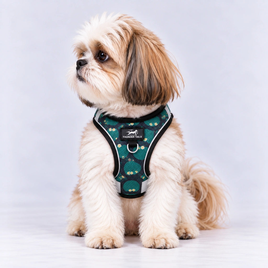Thunder Tails Dog Step In Harness & Leash Set- Black Green