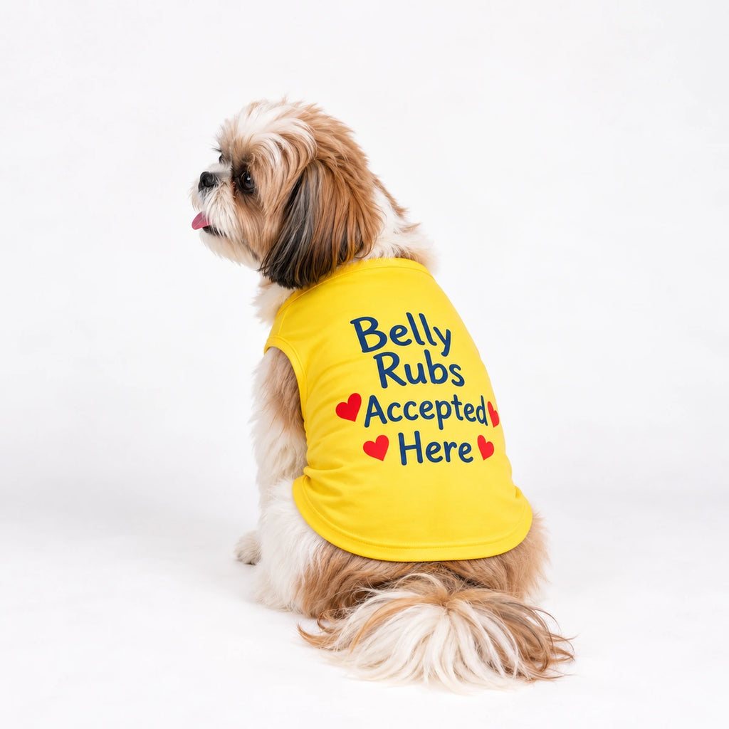 Thunder Tails Belly Rubs Accepted Here Dog T-shirt