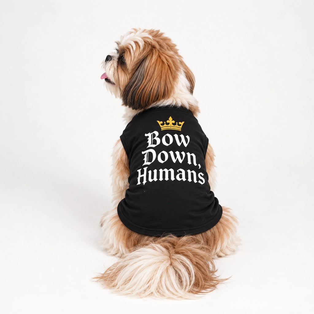 Thunder Tails Bow Down Humans Dog T-shirt