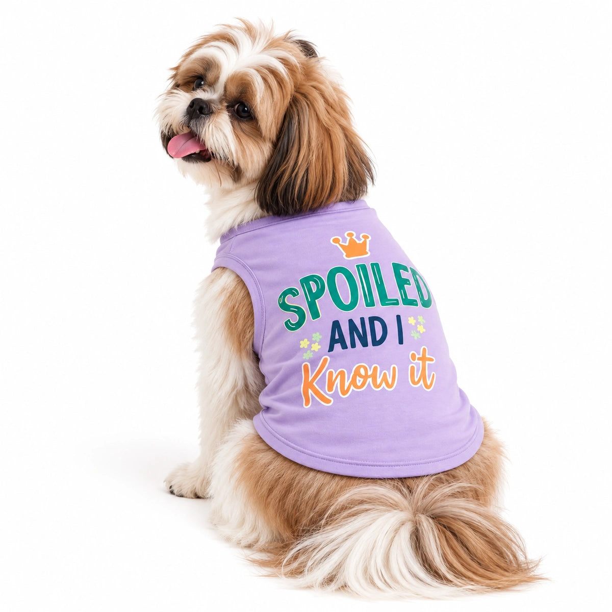 Thunder Tails Spoiled & I Know It Adjustable Graphic Dog T-shirt