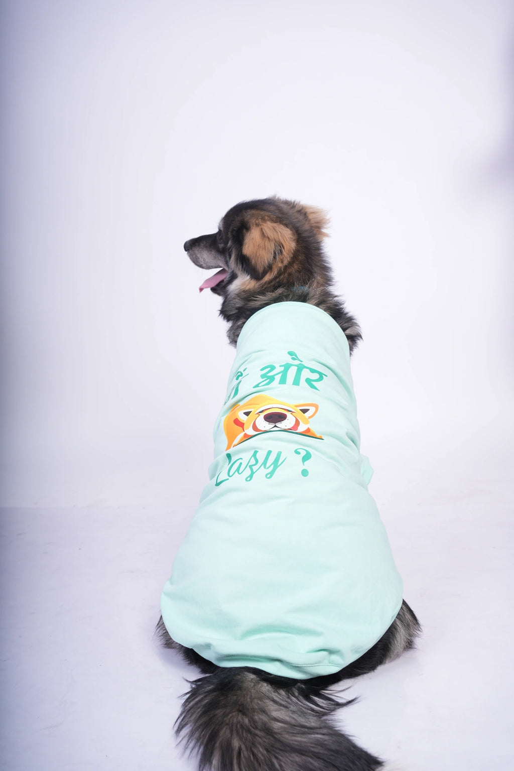 Thunder Tails MAIN OR LAZY? T-shirts