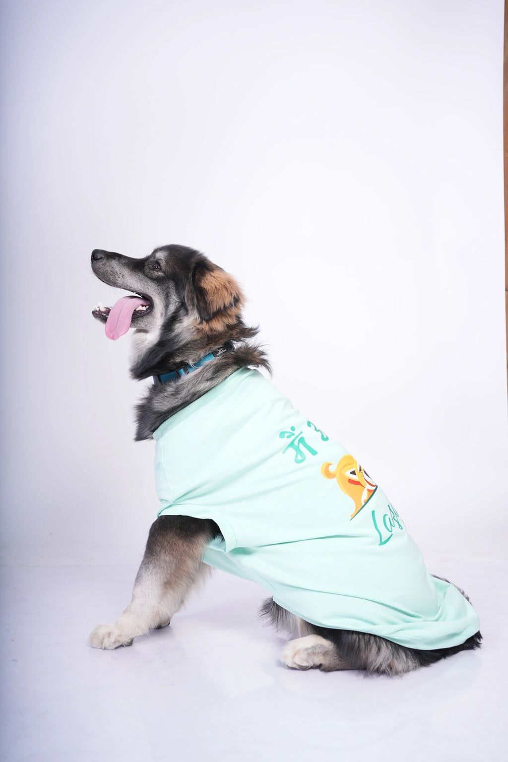 Thunder Tails MAIN OR LAZY? T-shirts