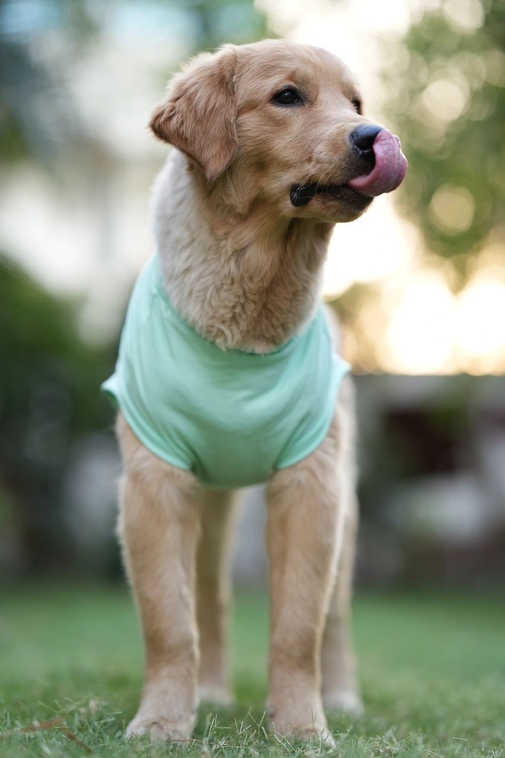 Thunder Tails DID SOMEONE SAY TREAT? T-shirts