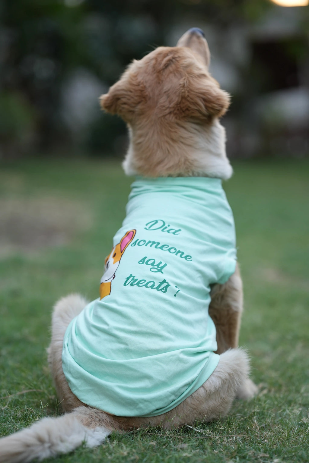 Thunder Tails DID SOMEONE SAY TREAT? T-shirts
