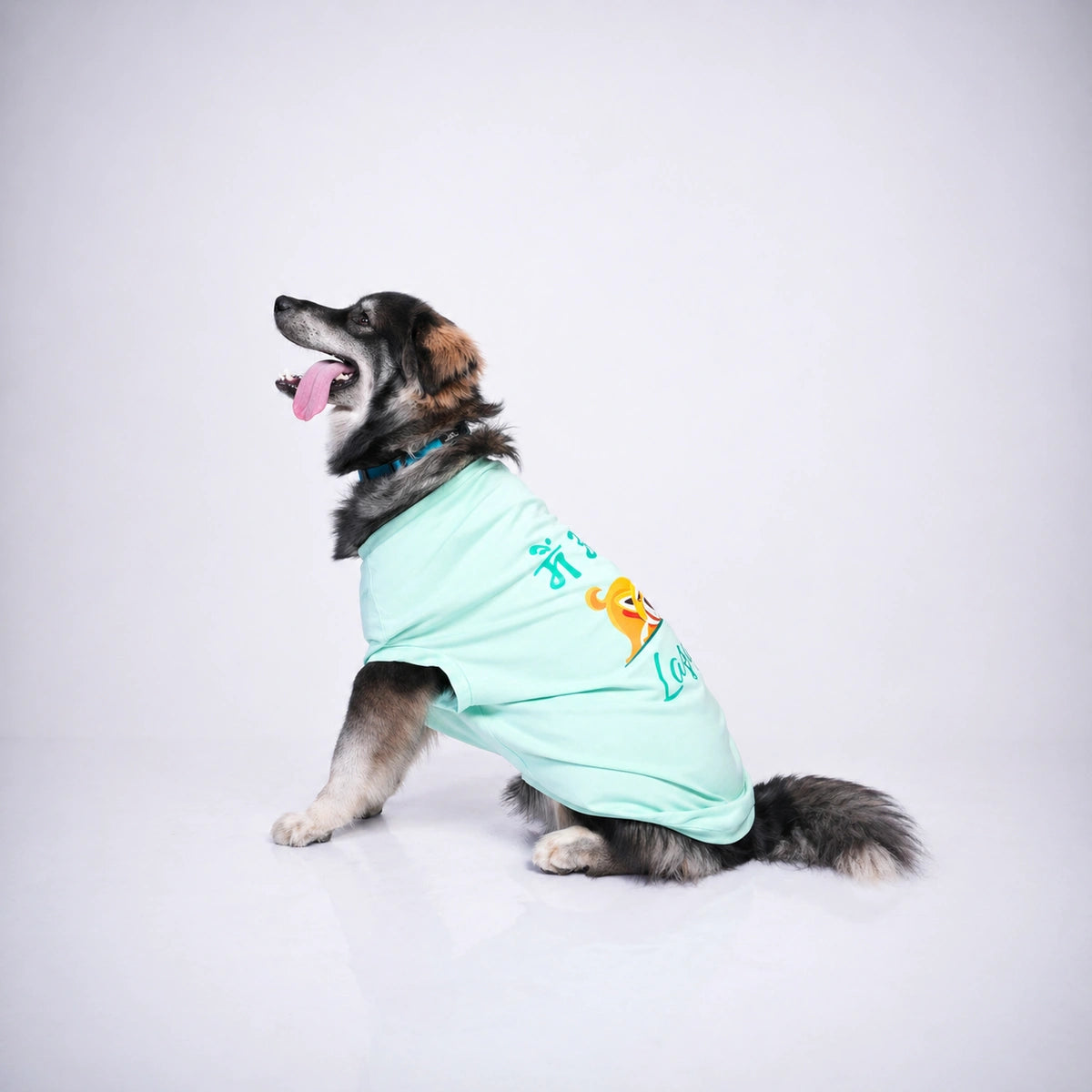 Thunder Tails MAIN OR LAZY? T-shirts