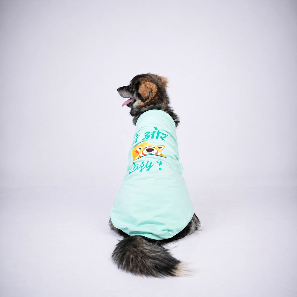 Thunder Tails MAIN OR LAZY? T-shirts