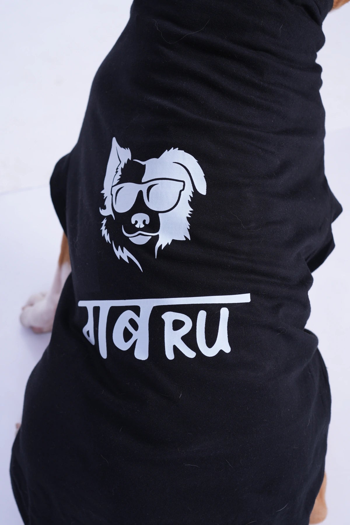 Thunder Tails GABRU T-shirts