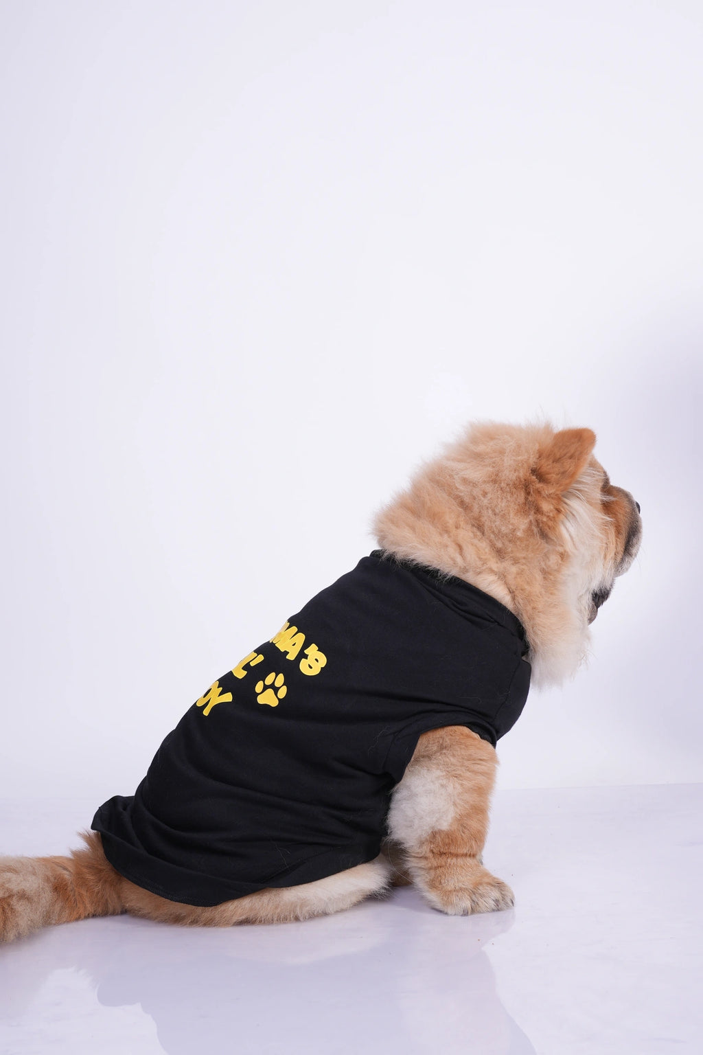 Thunder Tails MUMMA'S LIL' BOY T-shirts