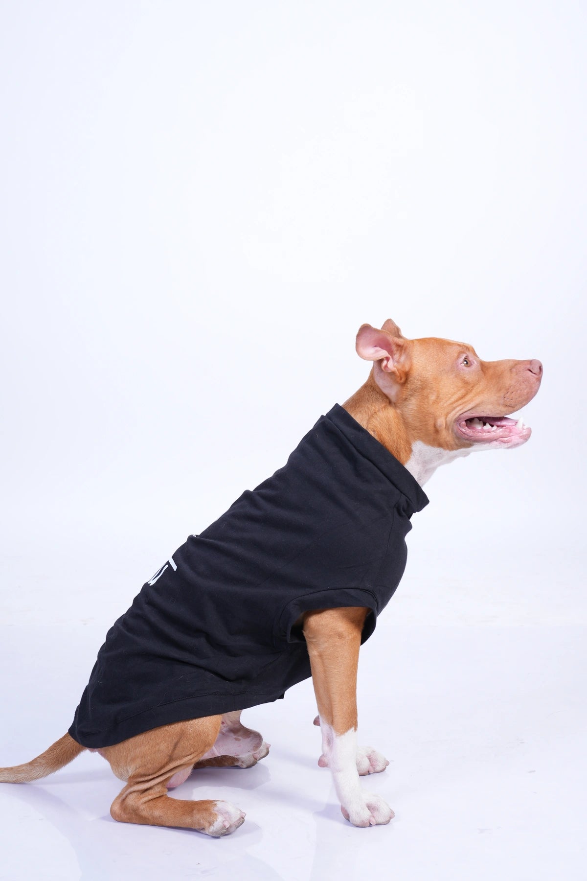 Thunder Tails GABRU T-shirts