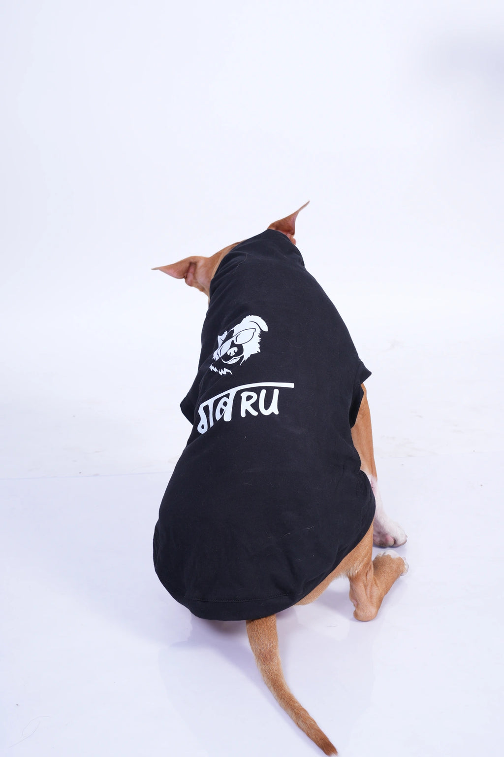 Thunder Tails GABRU T-shirts