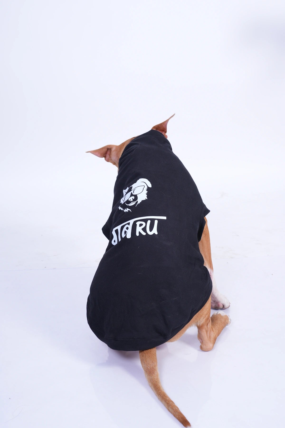 Thunder Tails GABRU T-shirts