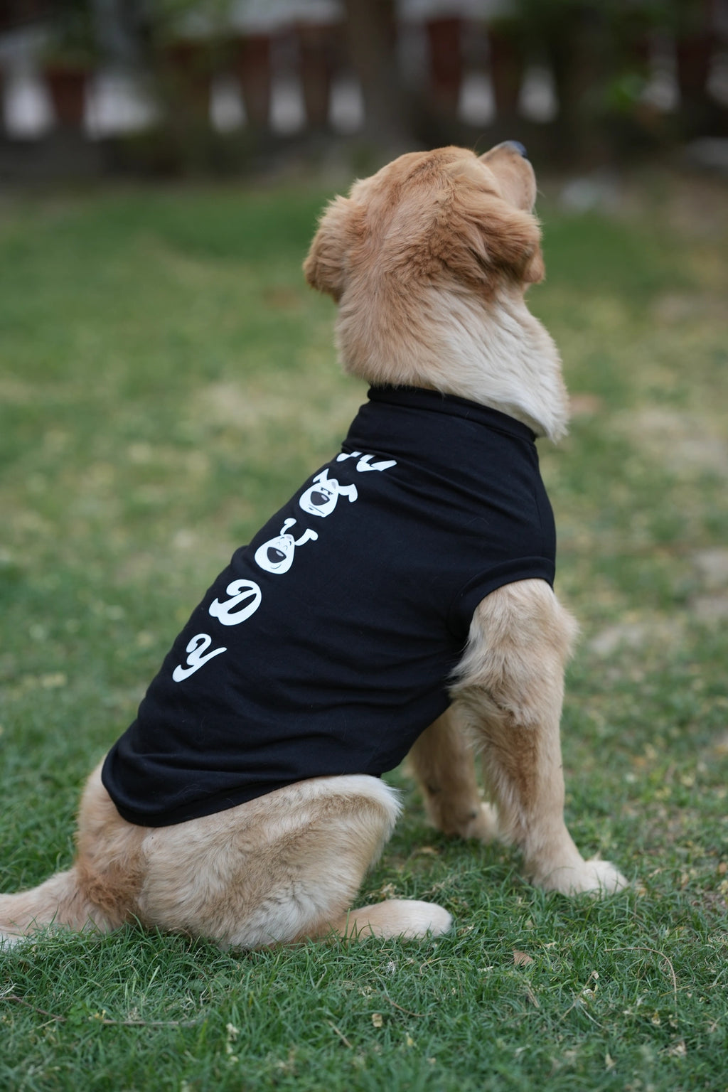 Thunder Tails MOODY T-shirts