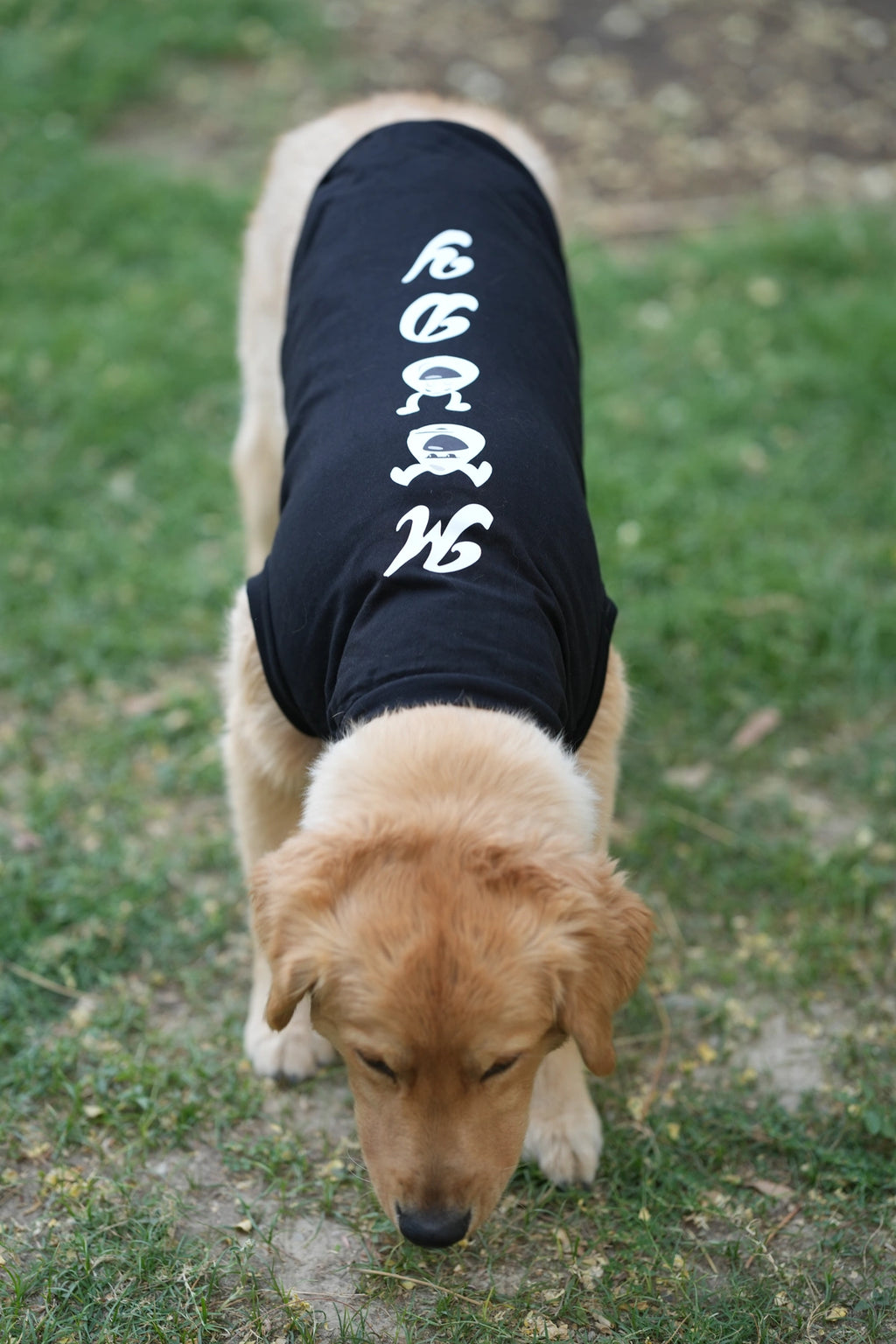 Thunder Tails MOODY T-shirts