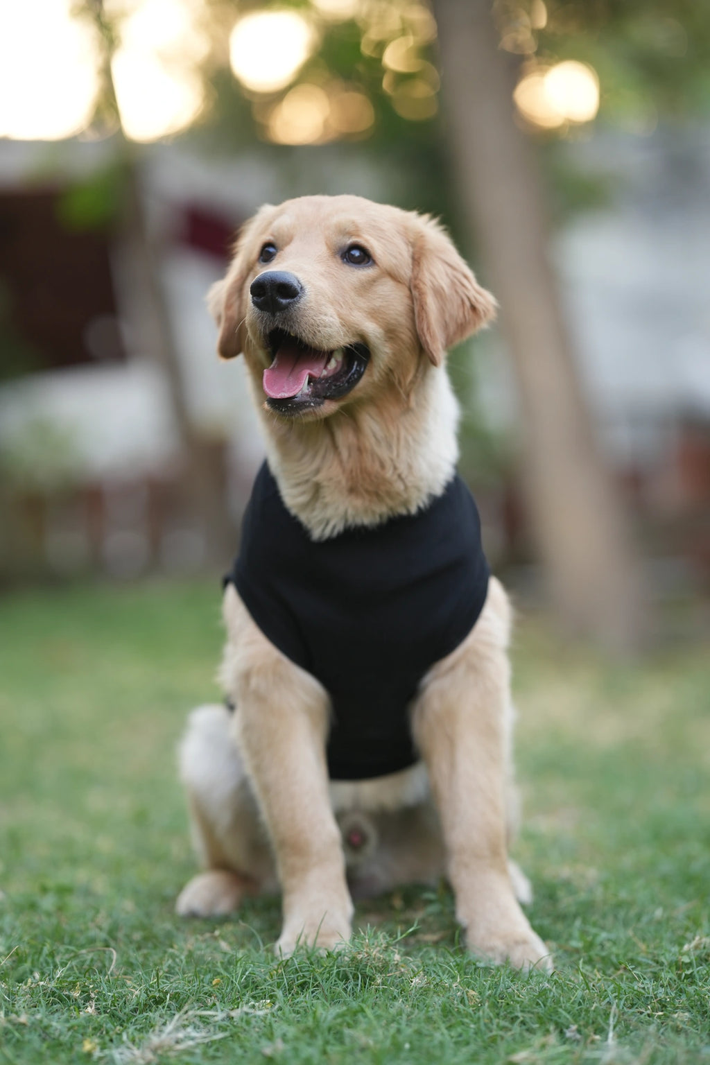 Thunder Tails MOODY T-shirts