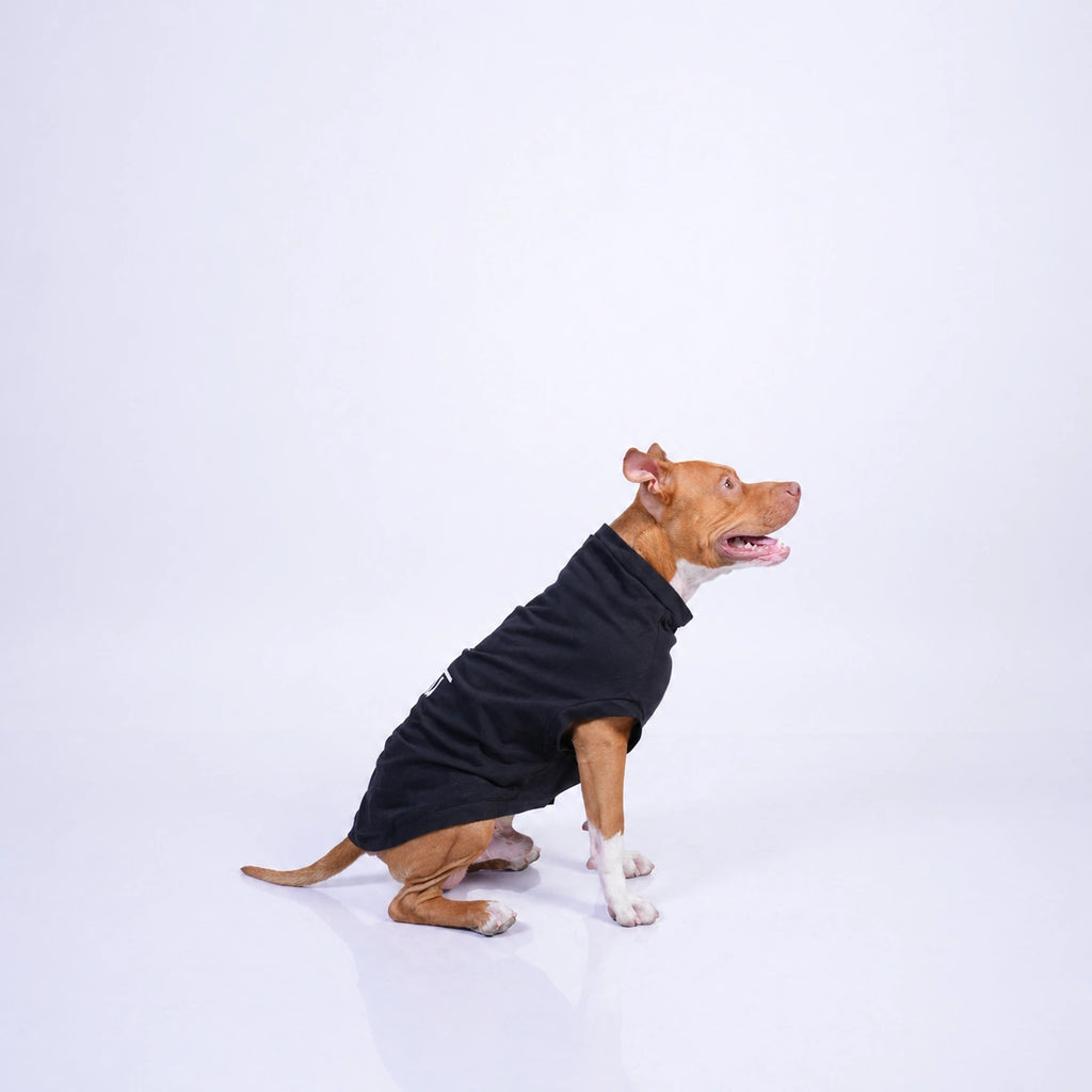 Thunder Tails GABRU T-shirts