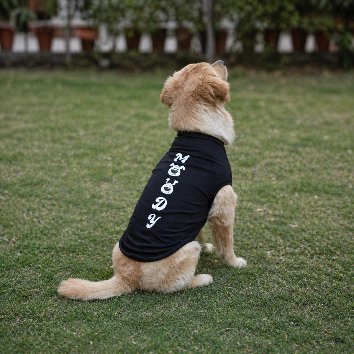 Thunder Tails MOODY T-shirts