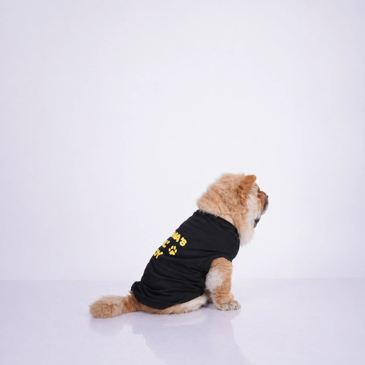Thunder Tails MUMMA'S LIL' BOY T-shirts