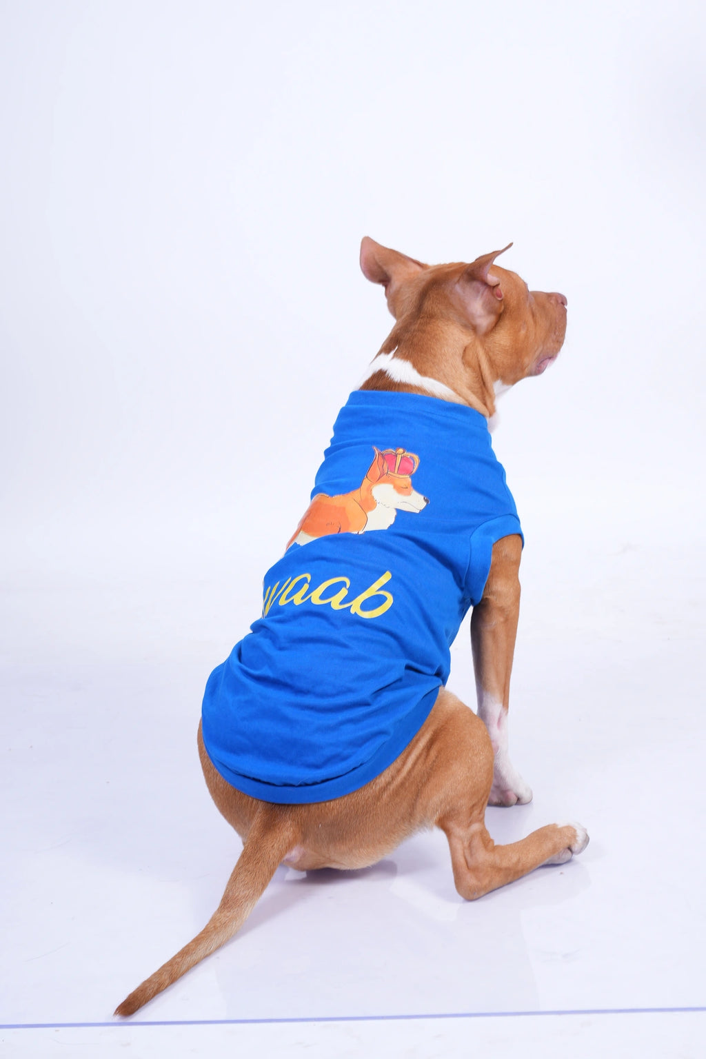 Thunder Tails NAWAAB T-shirts