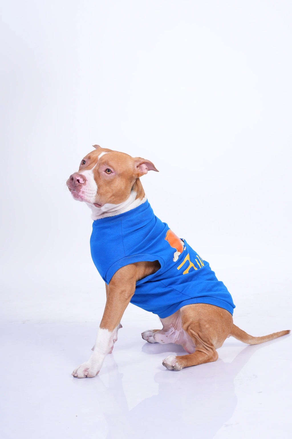 Thunder Tails NAWAAB T-shirts