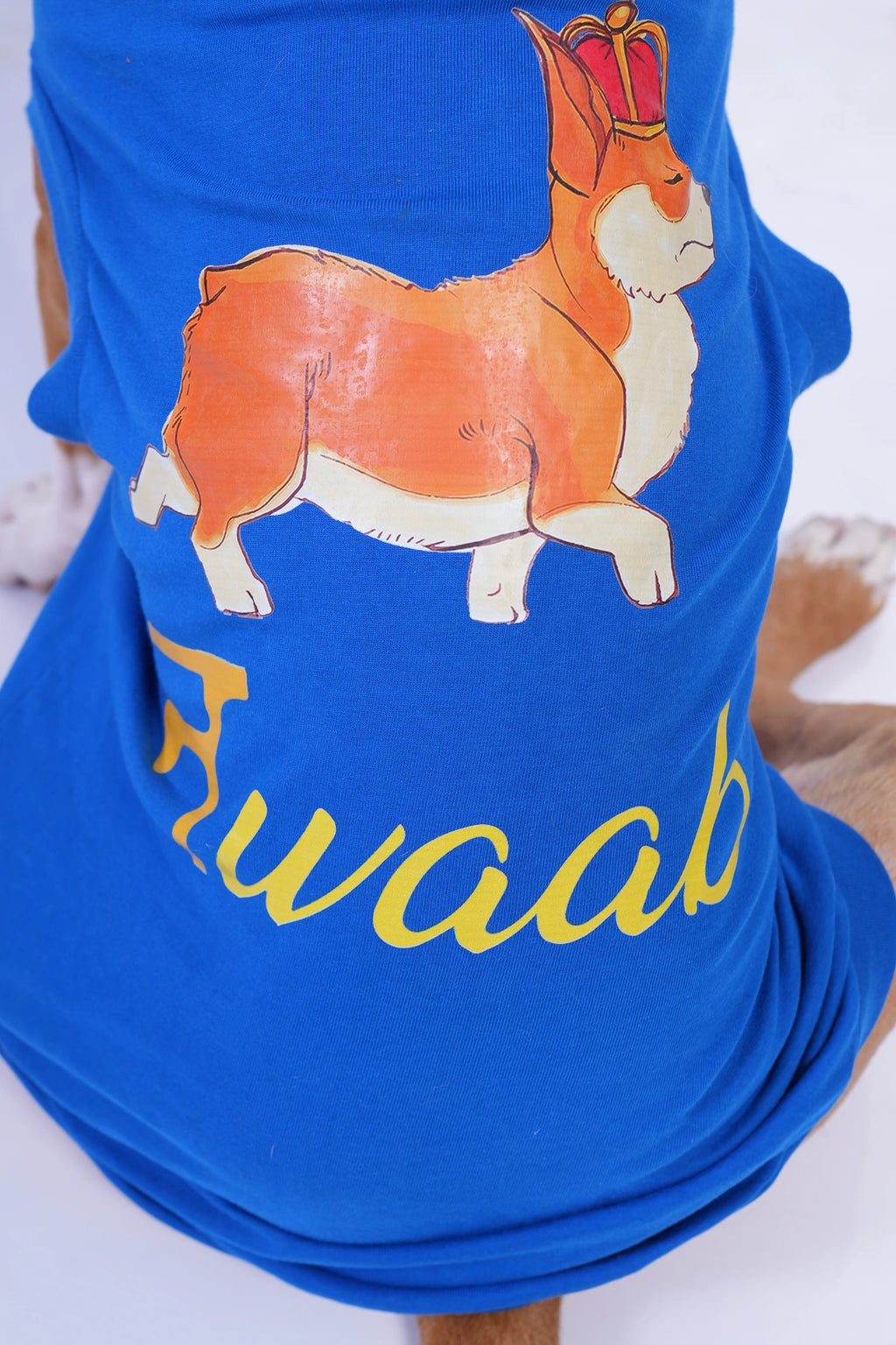 Thunder Tails NAWAAB T-shirts