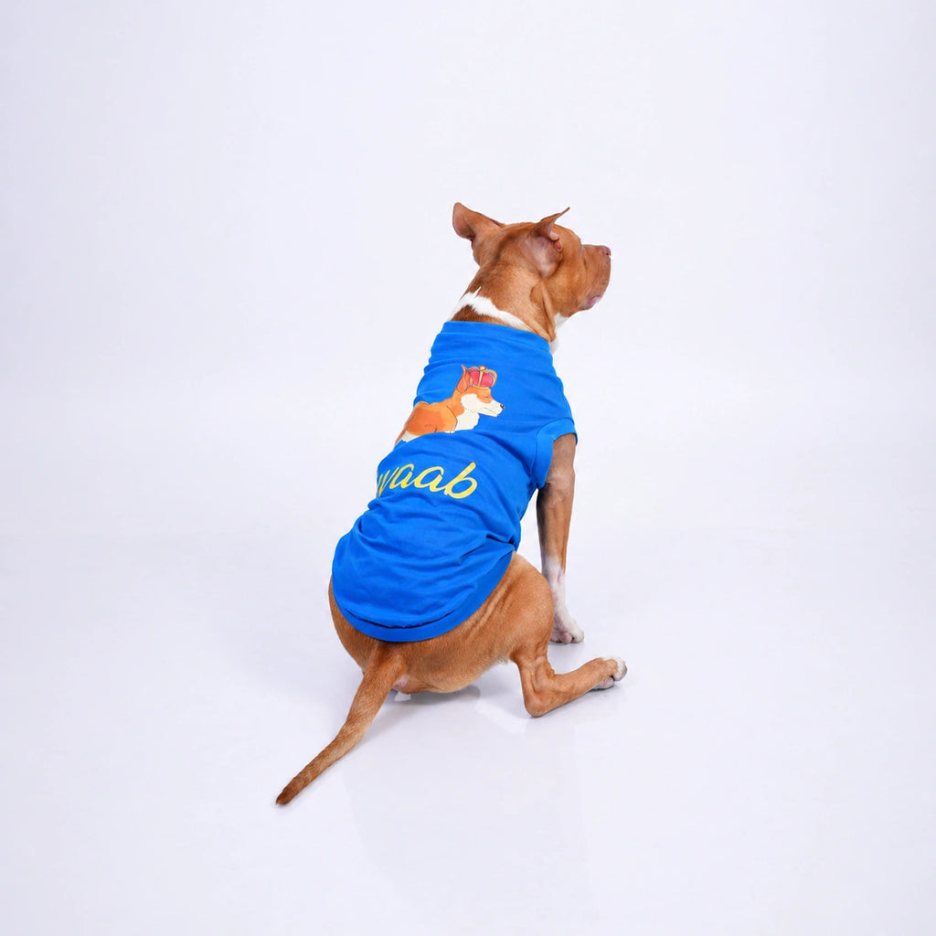 Thunder Tails NAWAAB T-shirts