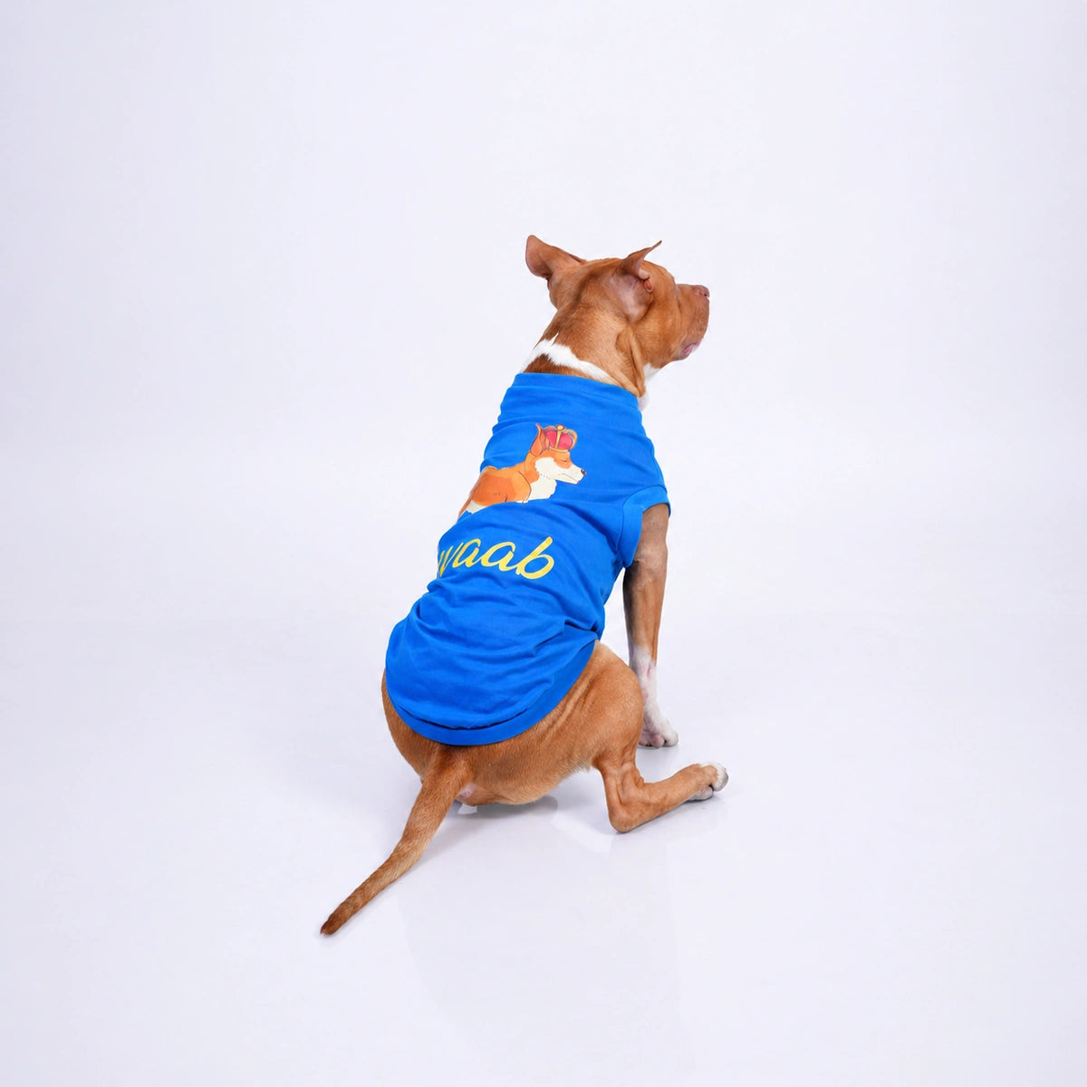 Thunder Tails NAWAAB T-shirts