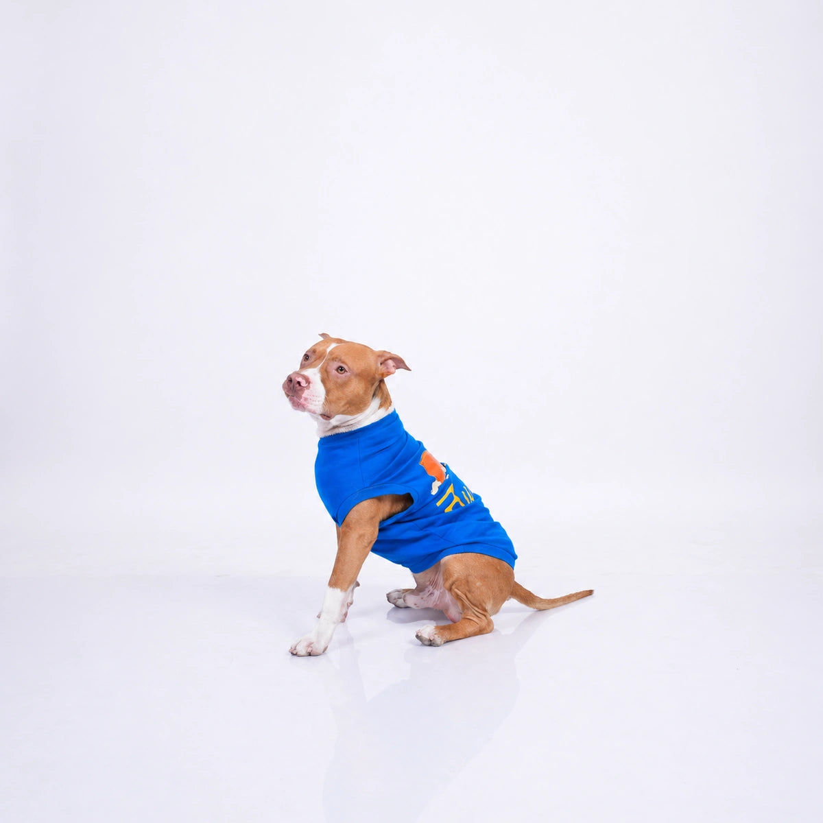 Thunder Tails NAWAAB T-shirts