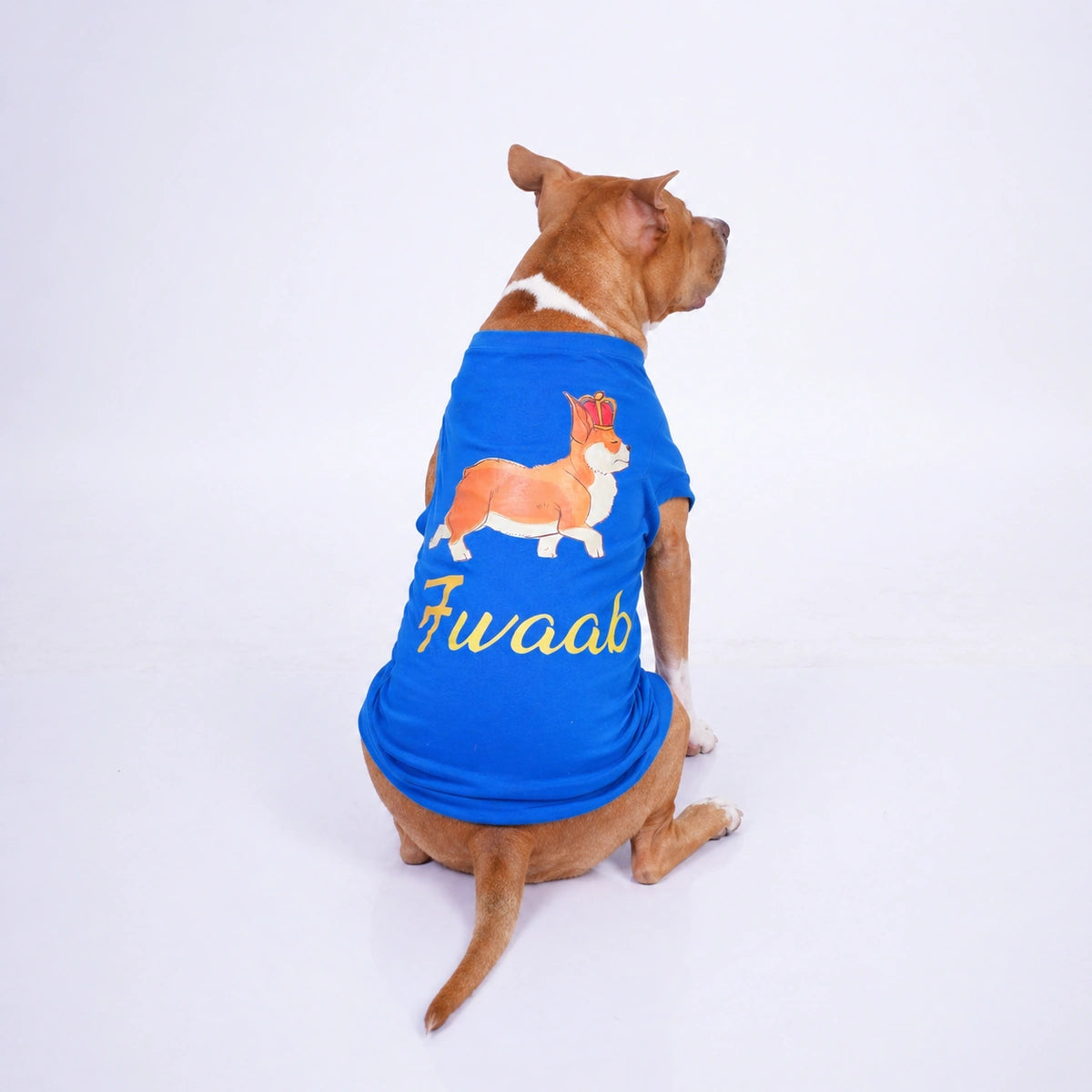 Thunder Tails NAWAAB T-shirts