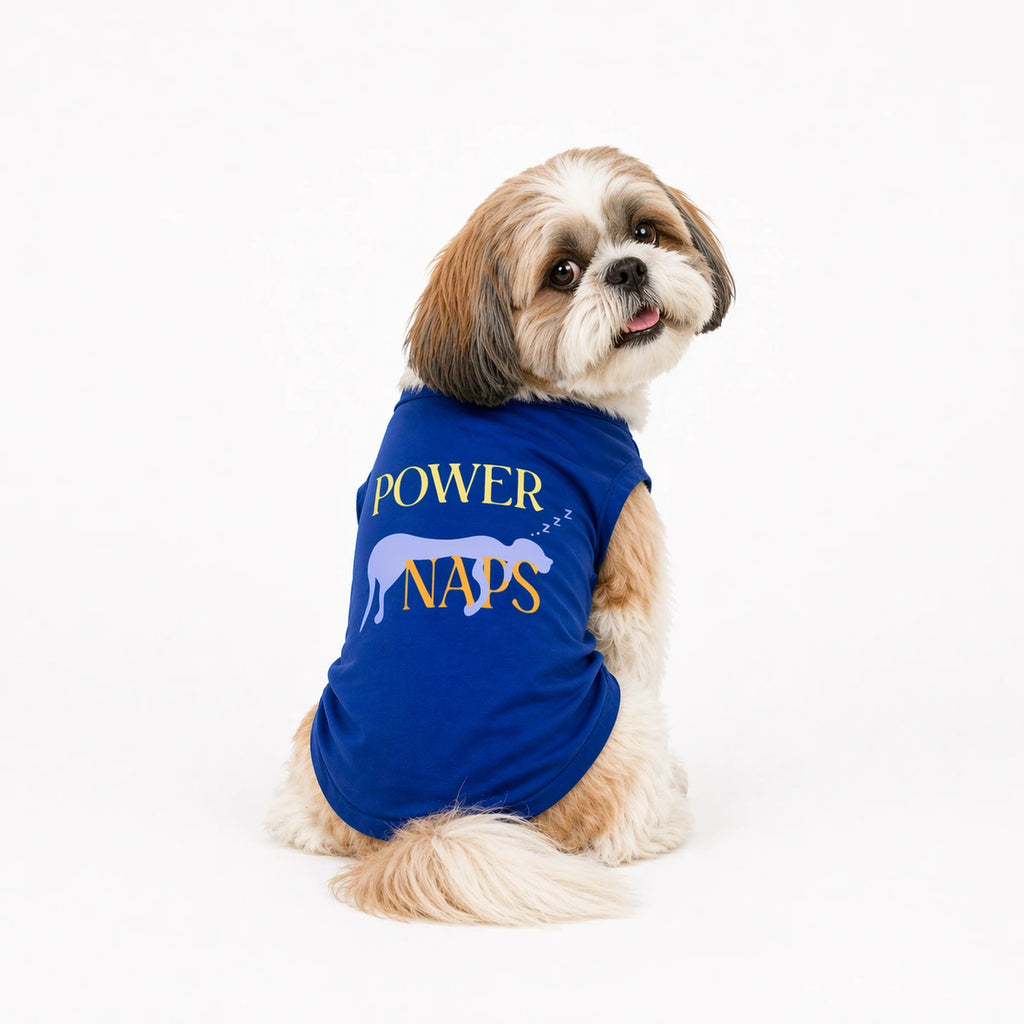 Thunder Tails POWER NAPS T-shirts