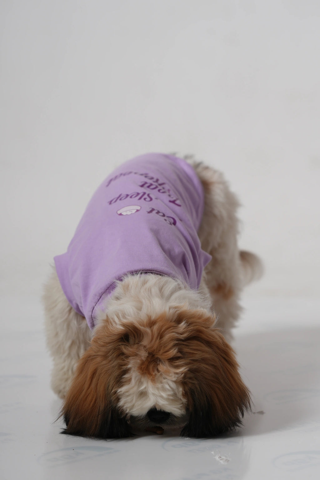 Thunder Tails EAT SLEEP TREAT REPEAT T-shirts