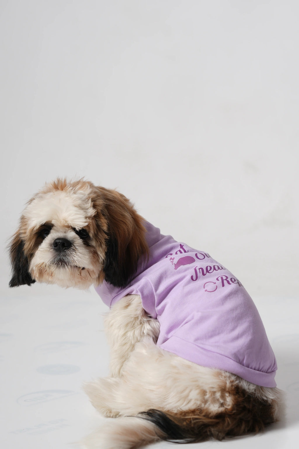 Thunder Tails EAT SLEEP TREAT REPEAT T-shirts